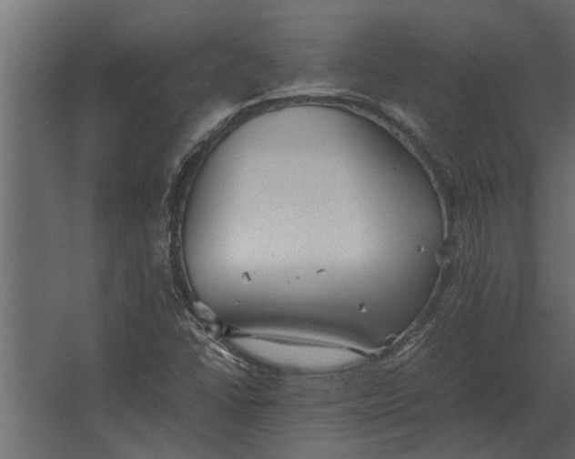 X0000067521406200604211805