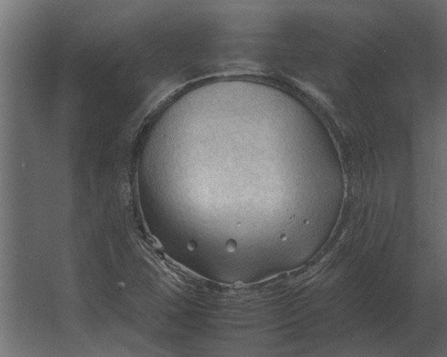 X0000067521407200604211805