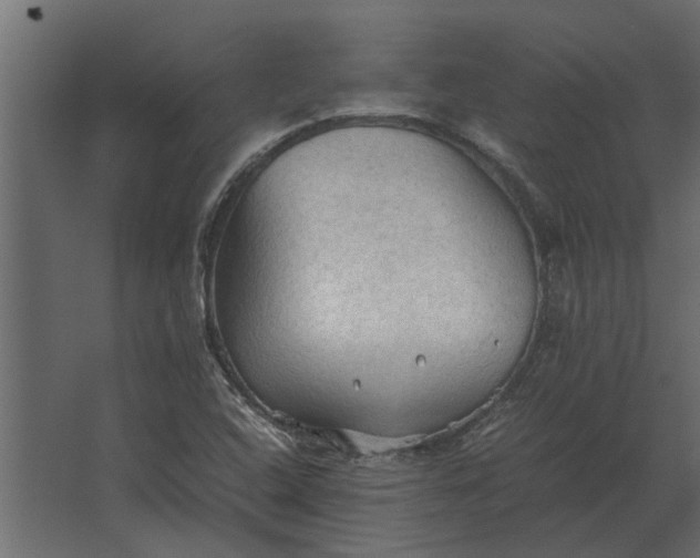 X0000067521408200604211805