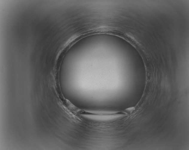 X0000067521410200604211805