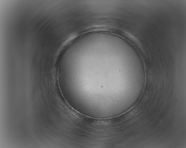 X0000067521411200604211805