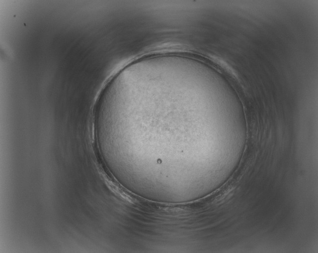 X0000067521413200604211805