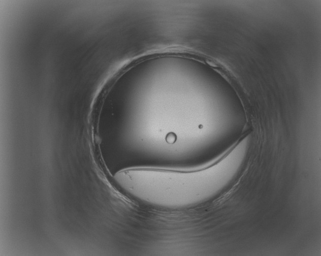 X0000067521414200604211805