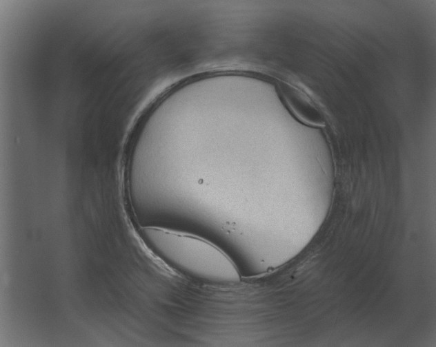 X0000067521416200604211805