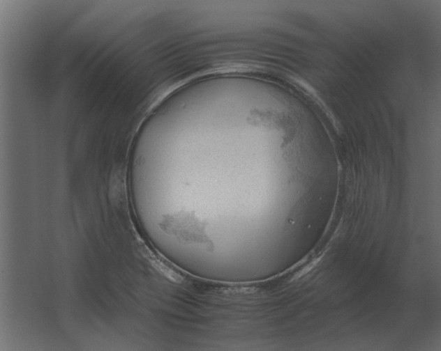 X0000067521417200604211805