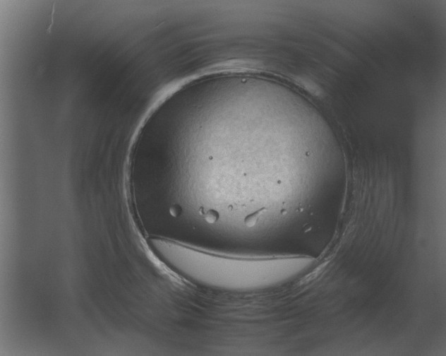 X0000067521421200604211805