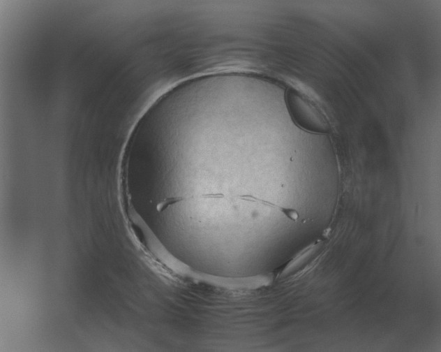 X0000067521423200604211805