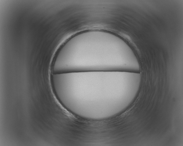 X0000067521424200604211805