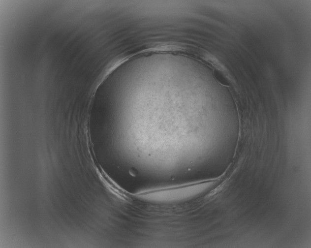 X0000067521425200604211805