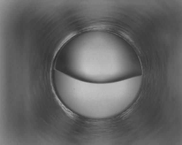 X0000067521426200604211805