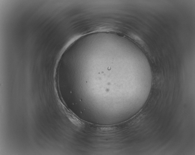 X0000067521427200604211805