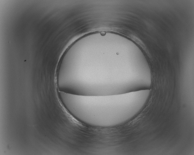 X0000067521428200604211805