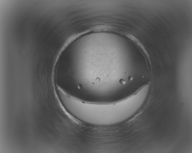 X0000067521429200604211805