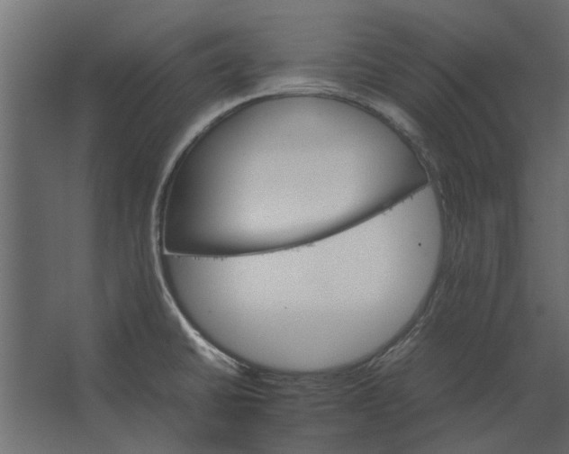 X0000067521430200604211805