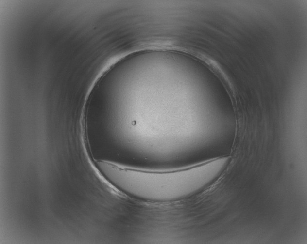 X0000067521432200604211805