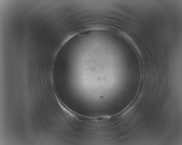 X0000067521433200604211805