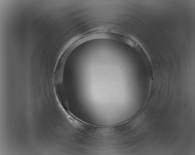 X0000067521434200604211805