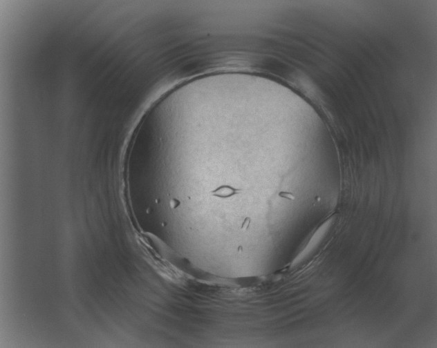 X0000067521435200604211805