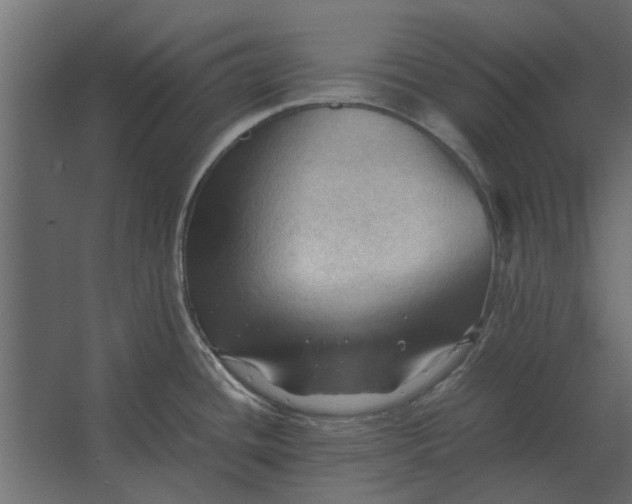 X0000067521436200604211805