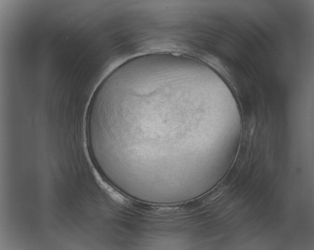 X0000067521439200604211805