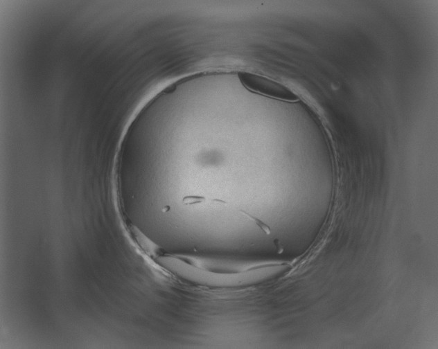 X0000067521440200604211805