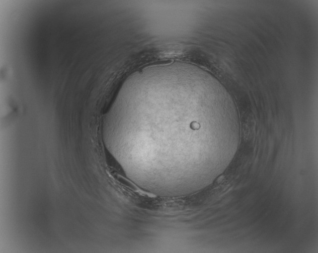 X0000067521441200604211804