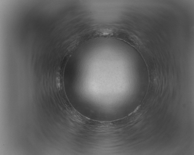 X0000067521442200604211804