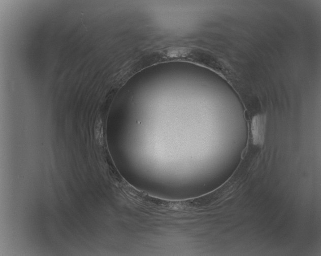 X0000067521443200604211804