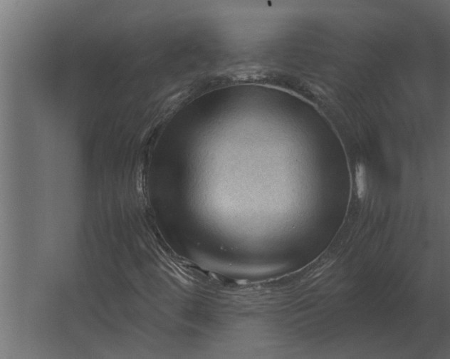 X0000067521444200604211804