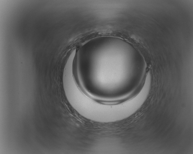 X0000067521445200604211804