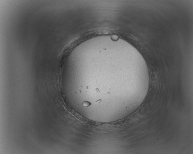 X0000067521446200604211804