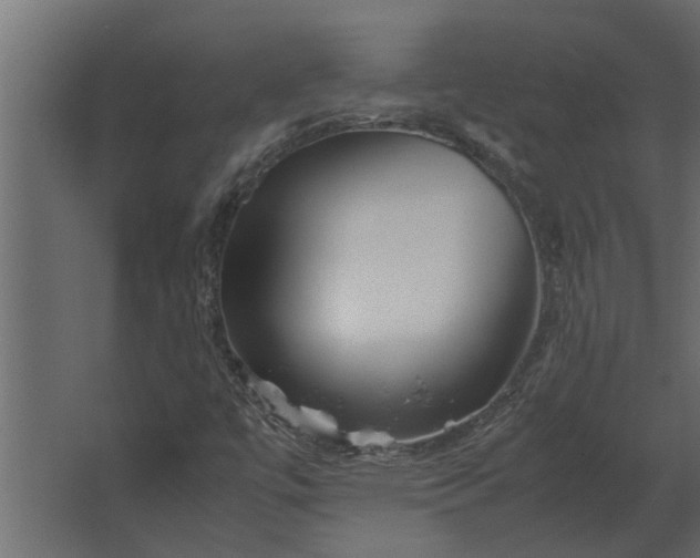 X0000067521447200604211804