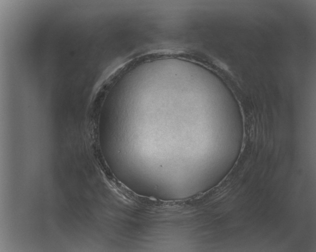 X0000067521448200604211804