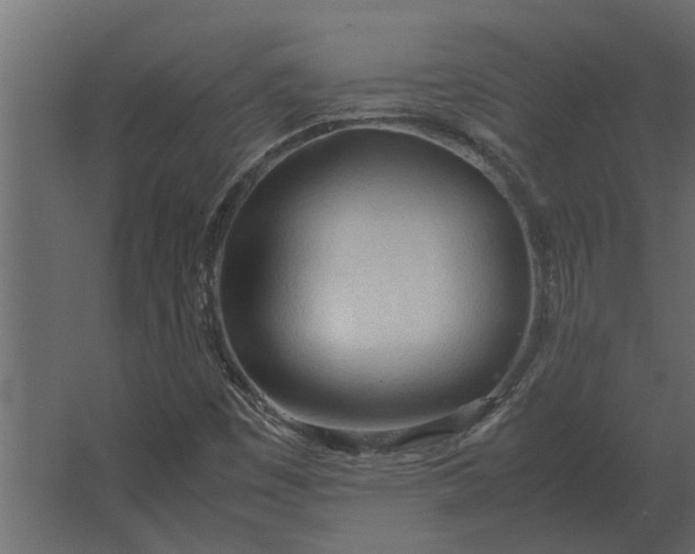 X0000067521449200604211804