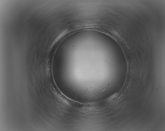 X0000067521450200604211804