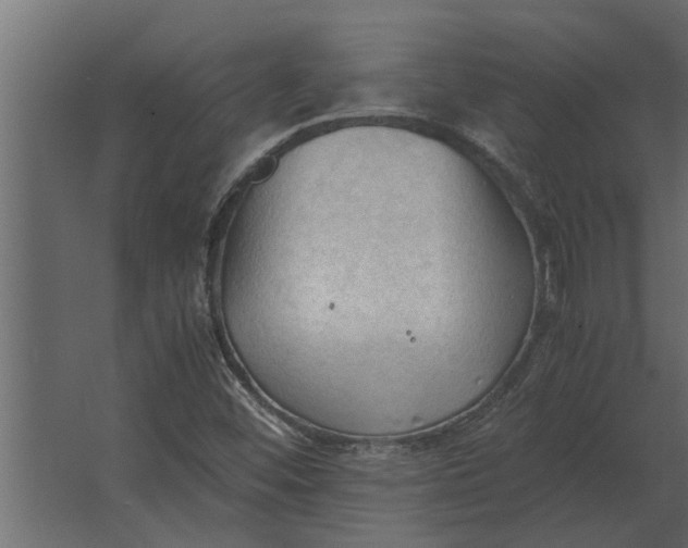 X0000067521452200604211804