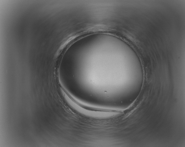 X0000067521453200604211804