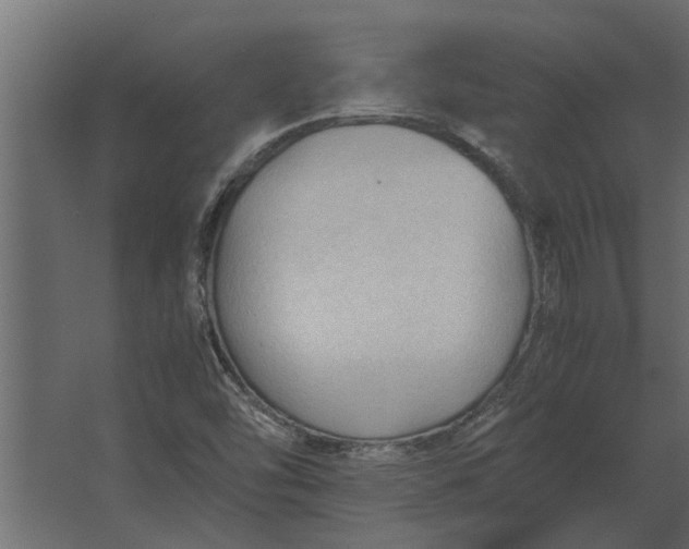 X0000067521454200604211804