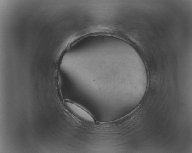 X0000067521455200604211804