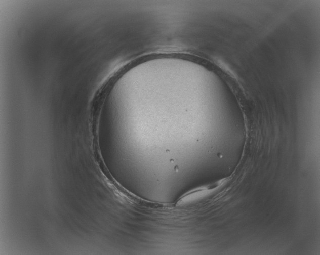 X0000067521456200604211804