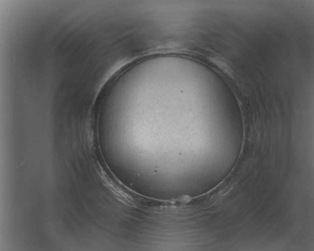 X0000067521458200604211804