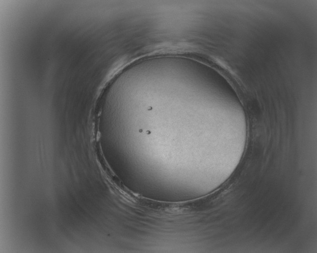 X0000067521459200604211804