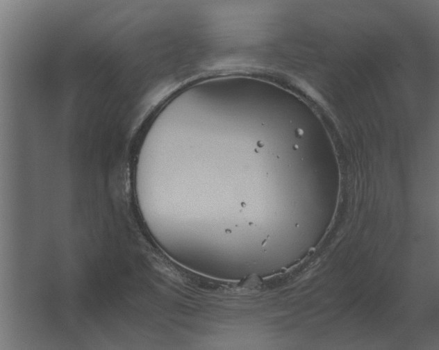 X0000067521461200604211804