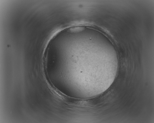 X0000067521463200604211804