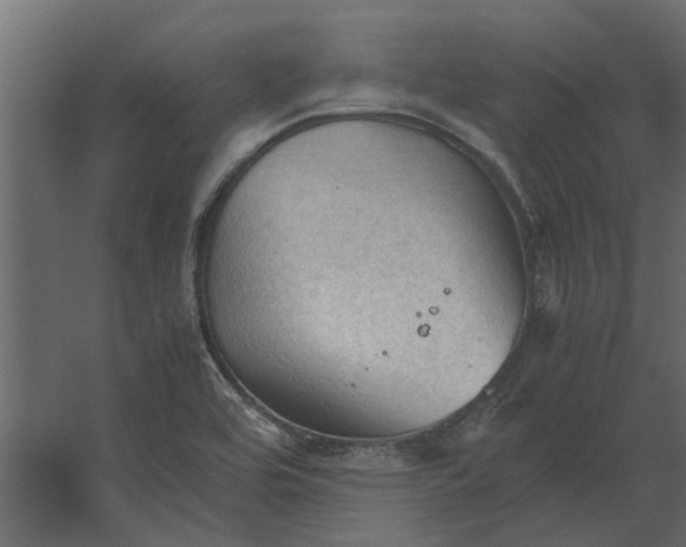 X0000067521464200604211804