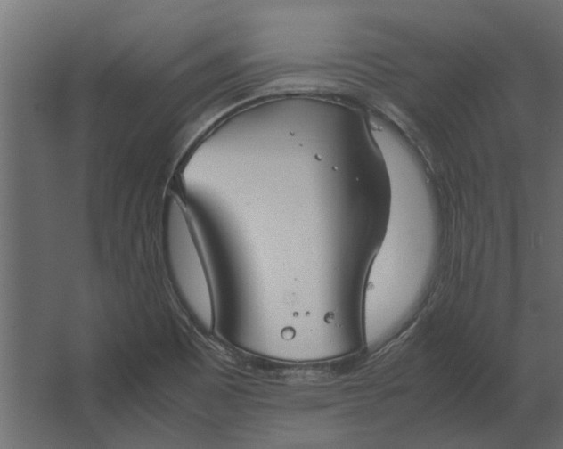 X0000067521465200604211804