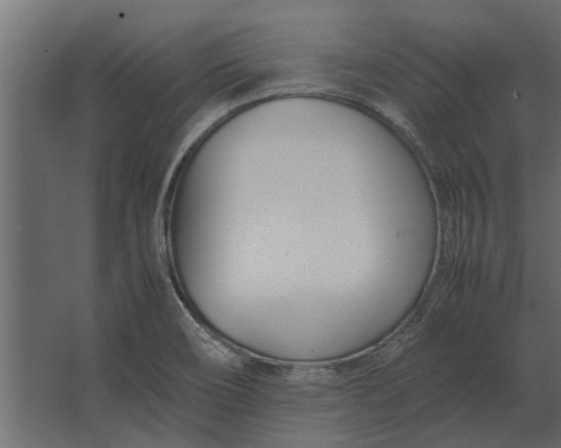 X0000067521466200604211804