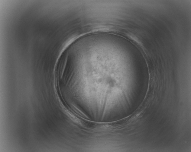 X0000067521467200604211804