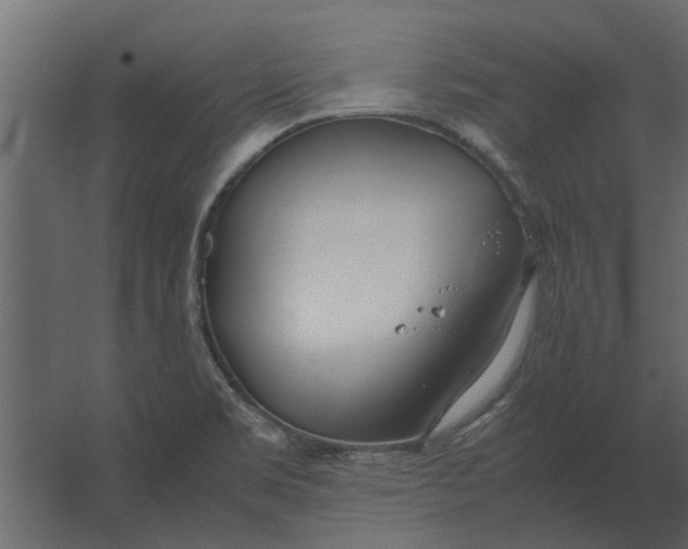 X0000067521469200604211804