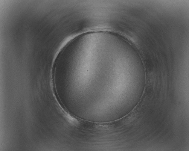 X0000067521470200604211804